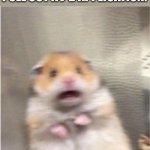 get scared | “I’M NOT SCARED OF ANYTHING!” MFS WHEN I PULL OUT A J*B APPLICATION: | image tagged in scared hamster | made w/ Imgflip meme maker