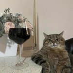 Cat elbow table drink