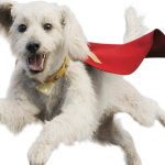 Superman Dog Krypton