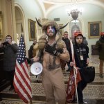 storming the capitol
