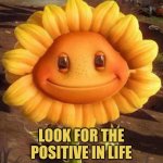 Look for the positive in life | LOOK FOR THE POSITIVE IN LIFE | image tagged in happy sunflower,positivity,autism | made w/ Imgflip meme maker