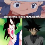 dawn asks who's the real goku ? | WHICH ONE IS THE REAL GOKU ? | image tagged in who asks who's the real goku,crossover,pokemon,pokemon memes,dragon ball z,animeme | made w/ Imgflip meme maker