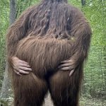 Bigfoot