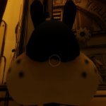 BORIS BIG ASS NOSE