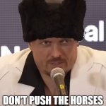 Don't Push The Horses | DON'T PUSH THE HORSES | image tagged in usyk don't push the horses | made w/ Imgflip meme maker