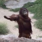 Monkey Join