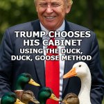 TrumpDuckGoose meme