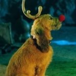 Max The Dog From Grinch