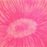 My Friends, Where Are You? (Horton Hears a Who!)