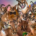 FLOPPA ARMY