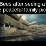 Time to eat in the car | Bees after seeing a nice peaceful family picnic | image tagged in gifs,memes,funny,animals | made w/ Imgflip video-to-gif maker
