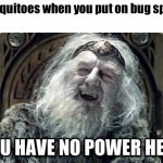 Mosquitoes don’t care | Mosquitoes when you put on bug spray. | image tagged in you have no power here | made w/ Imgflip meme maker