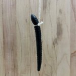 Worm suicide