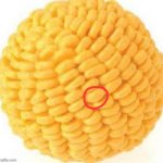 cornball except one of the kernels are circled meme
