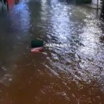 rescue