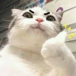 Thumb Up Cat