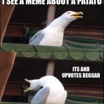 Inhaling Seagull Meme | I'M SCROLLING ON IMGFLIP; I SEE A MEME ABOUT A PATATO; ITS AND UPVOTES BEGGAR; AND PEOPLE UPVOTES THE MEME | image tagged in memes,inhaling seagull | made w/ Imgflip meme maker