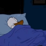 Donald Duck Sleeping