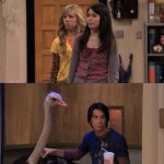 Spencer smoothie blank