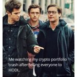 HODL meme