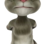2010 Talking Tom Cat