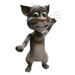2010 Tom Cat TA-DA!