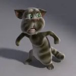 2010 Tom Cat Scared