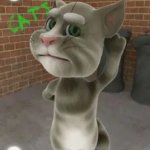 2010 Tom Cat hears you