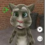 2010 Tom Cat Dizzy