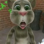 2010 Tom Cat Surprised