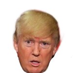 Confused Trump