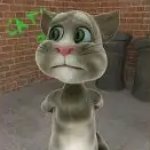 Tom Cat 2010 Worried