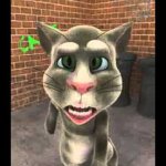2010 Tom Cat Ow!