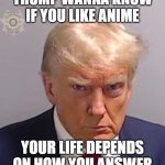 lol | TRUMP WANNA KNOW IF YOU LIKE ANIME; YOUR LIFE DEPENDS ON HOW YOU ANSWER | image tagged in donald trump mugshot | made w/ Imgflip meme maker