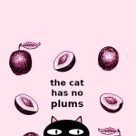 POV: You forgot to clean your room | POV: YOU FOGOT TO CLEAN YOUR ROOM | image tagged in the cat has no plums,cats | made w/ Imgflip meme maker