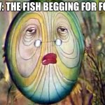 POV: The fish begging for food | POV: THE FISH BEGGING FOR FOOD | image tagged in len,fish,pets | made w/ Imgflip meme maker