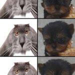 Oberezhnometanovets and Krasyvko template