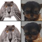 Oberezhnometanovets and Krasyvko template
