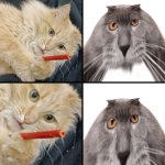 Drawcat and Oberezhnometanovets template