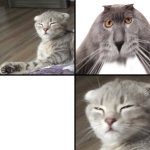 Sesysirerere and Oberezhnometanovets meme