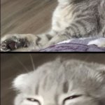 Sesysirerere meme