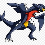 garchomp point