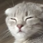 Sesysirerere meme
