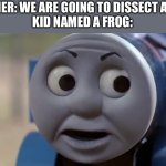 Thomas O Face | TEACHER: WE ARE GOING TO DISSECT A FROG
KID NAMED A FROG: | image tagged in thomas o face | made w/ Imgflip meme maker