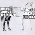 I got the F now | ME LITERALLY STUDYING 5 WEEKS FOR THE EXAM; ME ACTUALLY TAKING THE EXAM | image tagged in horse drawing,funny,memes,exams,relatable,for real | made w/ Imgflip meme maker
