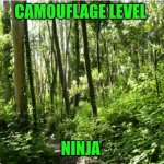 Funny | CAMOUFLAGE LEVEL; NINJA | image tagged in funny,camouflage,level expert,ninja,forest,ratings | made w/ Imgflip meme maker