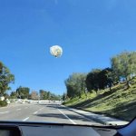 Bird Shit On The Windshield