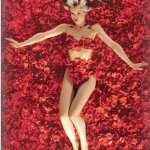 american beauty