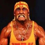 Hulk Bulk