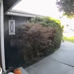 The Odds Of Being Killed By a Giant Buck While Delivering Packages Are Low, But Not Zero | image tagged in gifs,giant buck | made w/ Imgflip video-to-gif maker